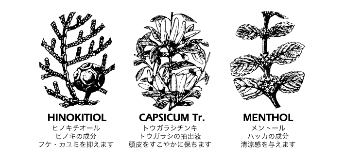 ヒノキの成分でフケ・カユミを抑えます。トウガラシの抽出液で頭皮を健やかに保ちます。ハッカ成分で清涼感を与えます。