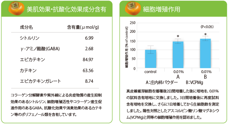 吸着力比較のグラフ